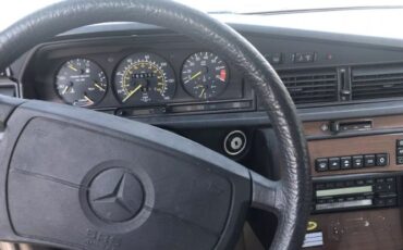 Mercedes-benz-190e-1989-12