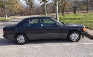 Mercedes-benz-190e-1993-Metallic-Black-Gray