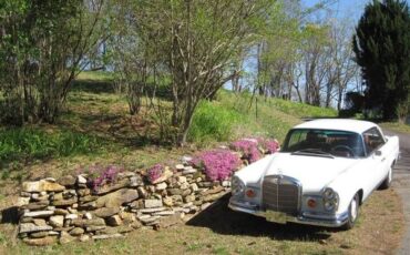Mercedes-benz-220se-1966-White