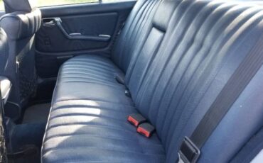 Mercedes-benz-240d-1983-Blue-Blue-5
