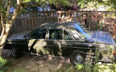 Mercedes-benz-240d-diesel-1980-green-4