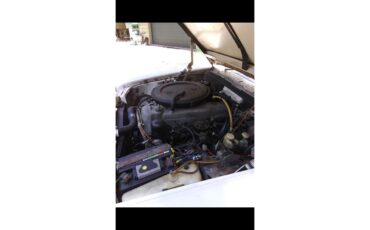 Mercedes-benz-250-1972-white-black-5