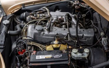 Mercedes-benz-250se-1967-Bronze-Glow-1