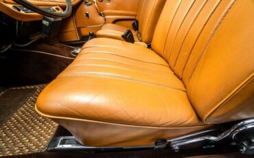 Mercedes-benz-250se-1967-Bronze-Glow-10