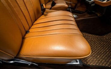 Mercedes-benz-250se-1967-Bronze-Glow-13