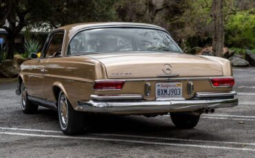 Mercedes-benz-250se-1967-Bronze-Glow-15
