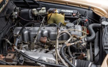 Mercedes-benz-250se-1967-Bronze-Glow-2