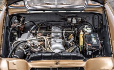 Mercedes-benz-250se-1967-Bronze-Glow-26