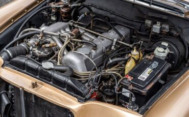 Mercedes-benz-250se-1967-Bronze-Glow-39