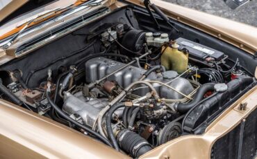 Mercedes-benz-250se-1967-Bronze-Glow-4