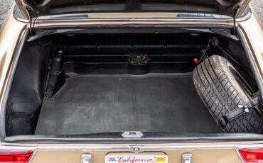 Mercedes-benz-250se-1967-Bronze-Glow-42