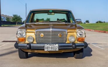 Mercedes-benz-280-1976-Gold-Tan-10