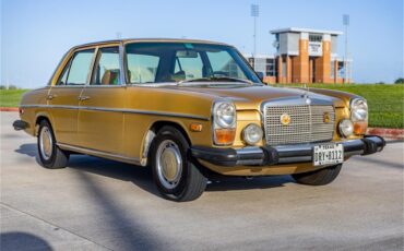 Mercedes-benz-280-1976-Gold-Tan-12
