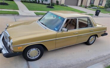 Mercedes-benz-280-1976-Gold-Tan-18