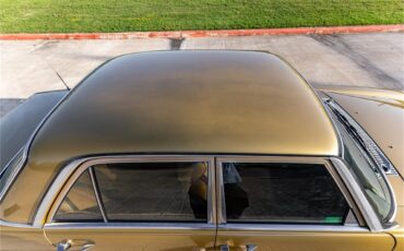 Mercedes-benz-280-1976-Gold-Tan-19