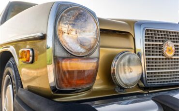 Mercedes-benz-280-1976-Gold-Tan-20