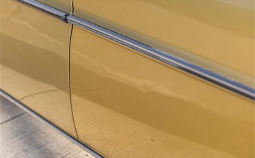 Mercedes-benz-280-1976-Gold-Tan-23