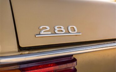 Mercedes-benz-280-1976-Gold-Tan-26