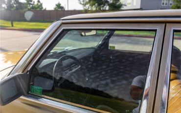 Mercedes-benz-280-1976-Gold-Tan-29