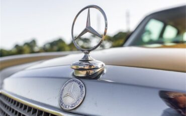 Mercedes-benz-280-1976-Gold-Tan-3