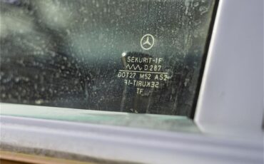 Mercedes-benz-280-1976-Gold-Tan-31
