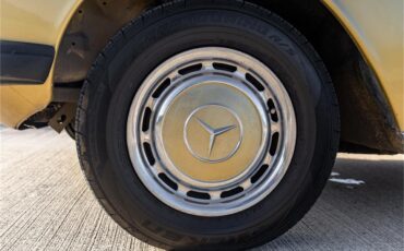 Mercedes-benz-280-1976-Gold-Tan-32