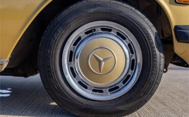 Mercedes-benz-280-1976-Gold-Tan-35