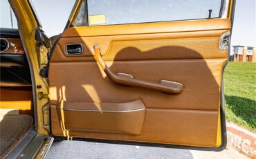 Mercedes-benz-280-1976-Gold-Tan-37