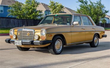 Mercedes-benz-280-1976-Gold-Tan