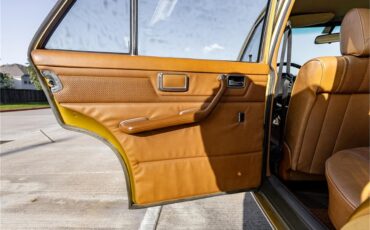 Mercedes-benz-280-1976-Gold-Tan-38