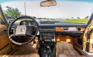 Mercedes-benz-280-1976-Gold-Tan-41