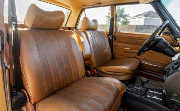 Mercedes-benz-280-1976-Gold-Tan-48