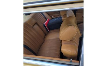 Mercedes-benz-280-1976-Gold-Tan-49