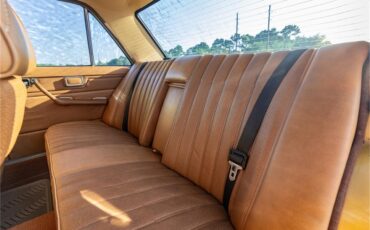 Mercedes-benz-280-1976-Gold-Tan-50