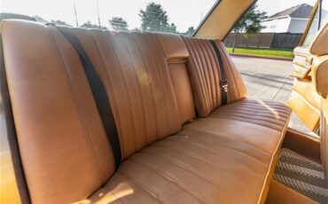 Mercedes-benz-280-1976-Gold-Tan-51