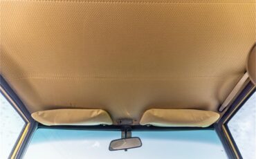 Mercedes-benz-280-1976-Gold-Tan-52