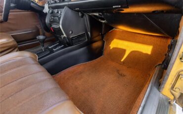 Mercedes-benz-280-1976-Gold-Tan-57