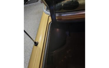 Mercedes-benz-280-1976-Gold-Tan-61