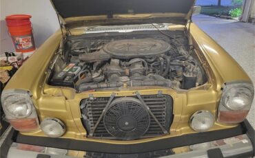 Mercedes-benz-280-1976-Gold-Tan-66