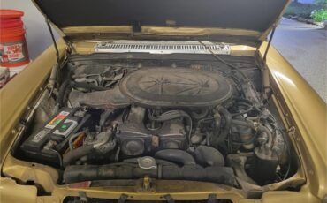 Mercedes-benz-280-1976-Gold-Tan-67