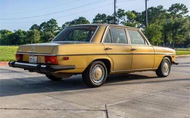 Mercedes-benz-280-1976-Gold-Tan-8