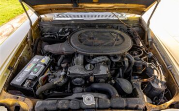 Mercedes-benz-280-1976-Gold-Tan-9