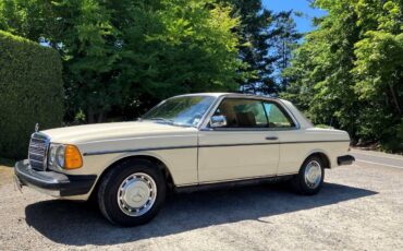 Mercedes-benz-280ce-1978-11