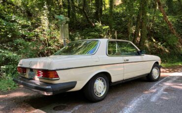 Mercedes-benz-280ce-1978-2