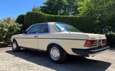 Mercedes-benz-280ce-1978