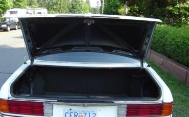 Mercedes-benz-280sel-1973-Pastel-White-Black-4