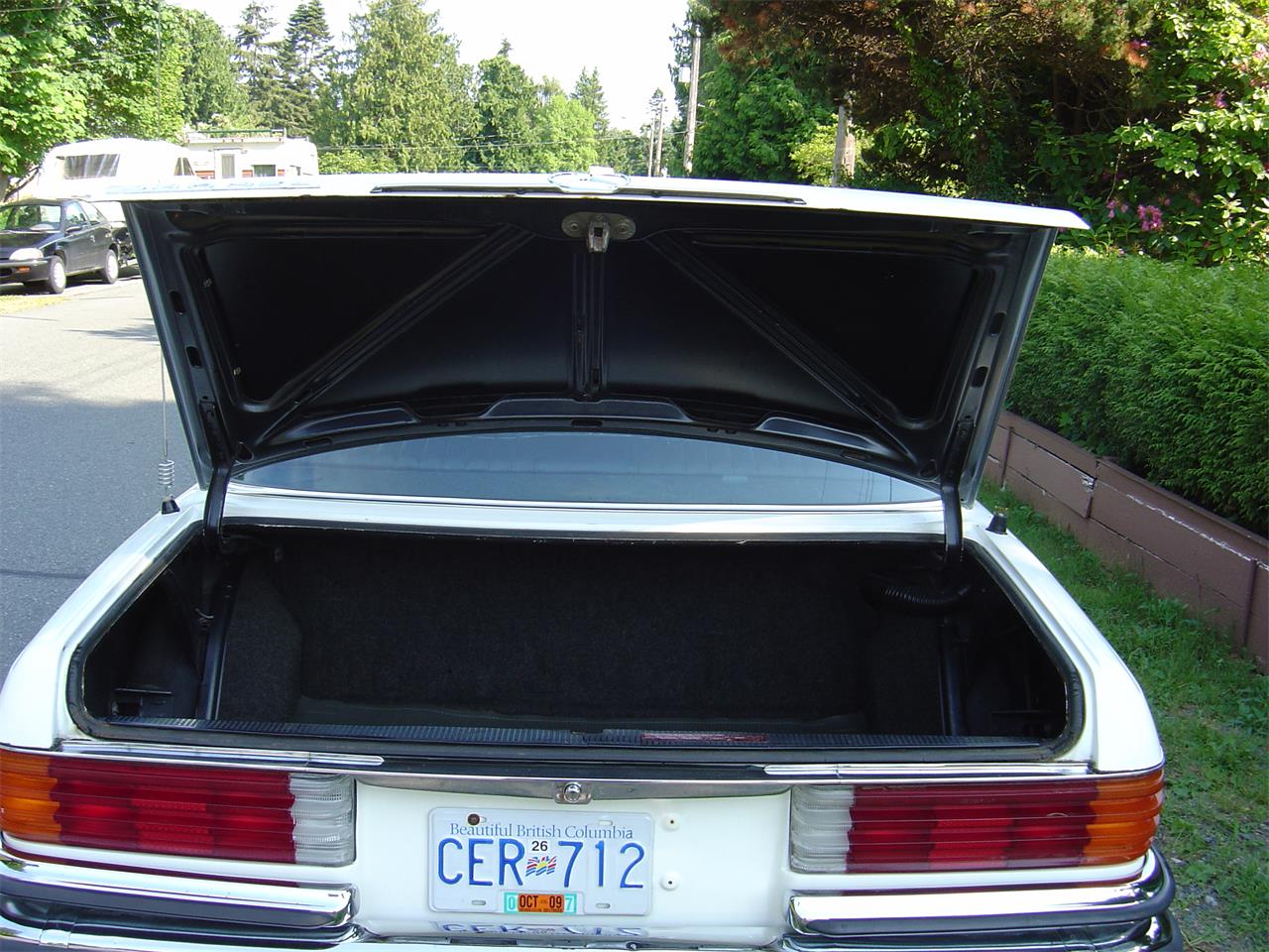 Mercedes-benz-280sel-1973-Pastel-White-Black-4