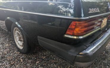 Mercedes-benz-300cd-1981-Forest-Green-Black-1