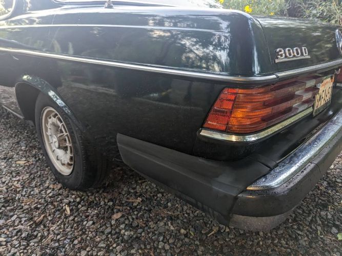Mercedes-benz-300cd-1981-Forest-Green-Black-1