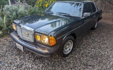 Mercedes-benz-300cd-1981-Forest-Green-Black-10